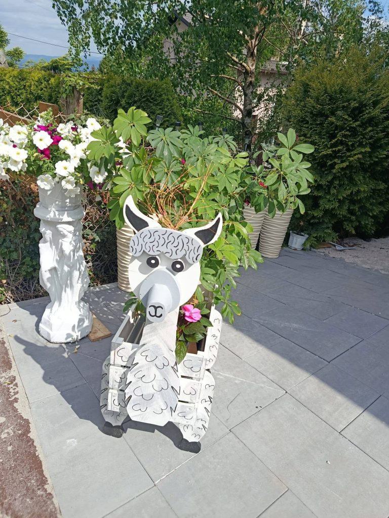 Donica Dobra na posesji Pani Ani na Słotwinie – akcja Siejemy Dobro